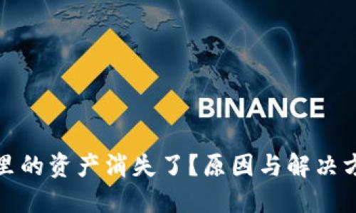 TP钱包里的资产消失了?原因与解决方案详解
