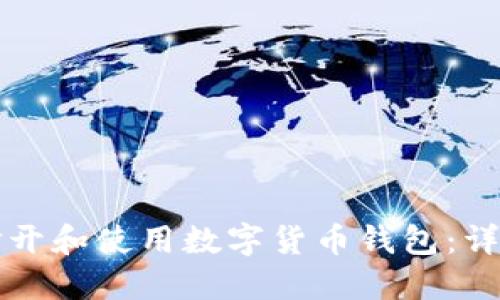 如何打开和使用数字货币钱包:详细指南