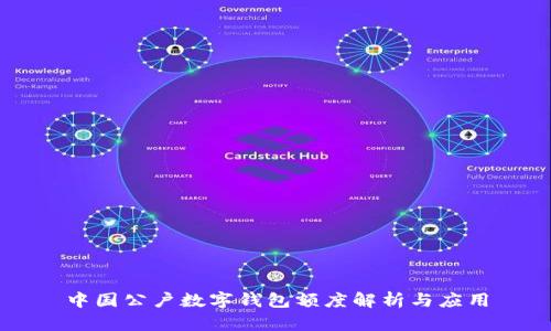 中国公户数字钱包额度解析与应用