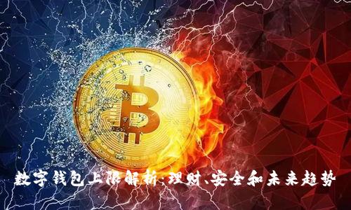 数字钱包上限解析:理财、安全和未来趋势