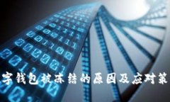 数字钱包被冻结的原因及应对策略