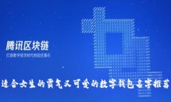 适合女生的霸气又可爱的数字钱包名字推荐