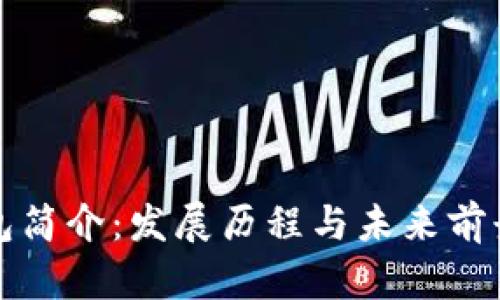 TP钱包简介：发展历程与未来前景分析