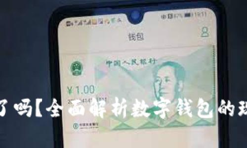 数字钱包下架了吗？全面解析数字钱包的现状与未来发展