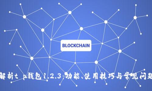 全面解析t p钱包1.2.3：功能、使用技巧与常见问题解答